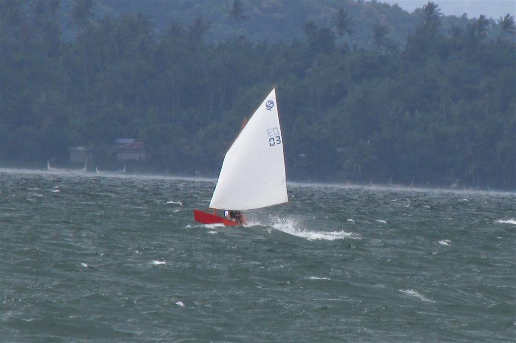 Learners in strong wind - oz goose sailboat